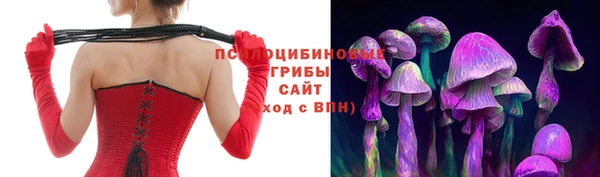 молекула духа Мегион