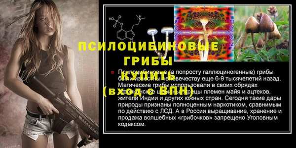 молекула духа Медногорск