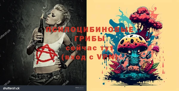 молекула духа Медногорск