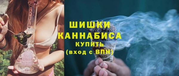 молекула духа Мегион
