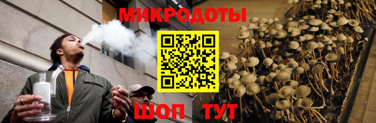 Псилоцибиновые грибы мухоморы Скопин
