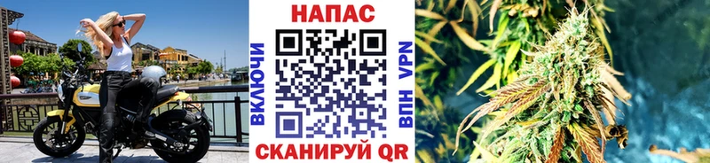 Марихуана план  Скопин 